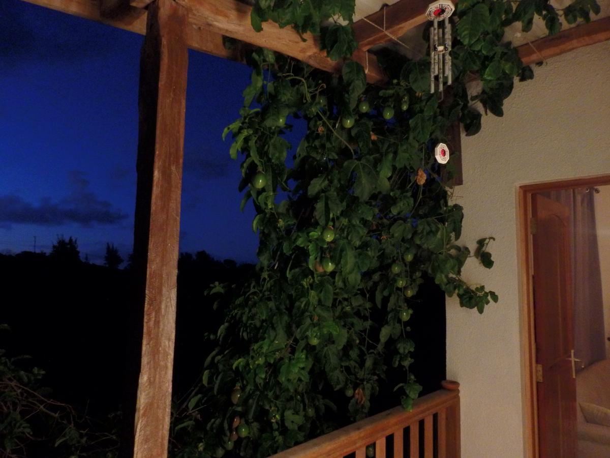 Green Wood Lodge Petit Brule Exterior foto